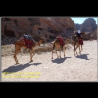 17992 12 111 Petra Jordanien 2011.jpg